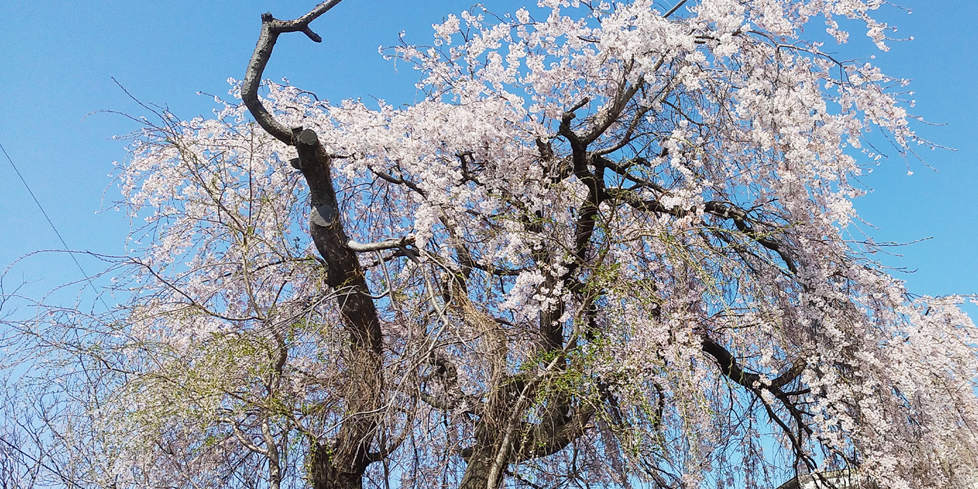 当院の内視鏡検査