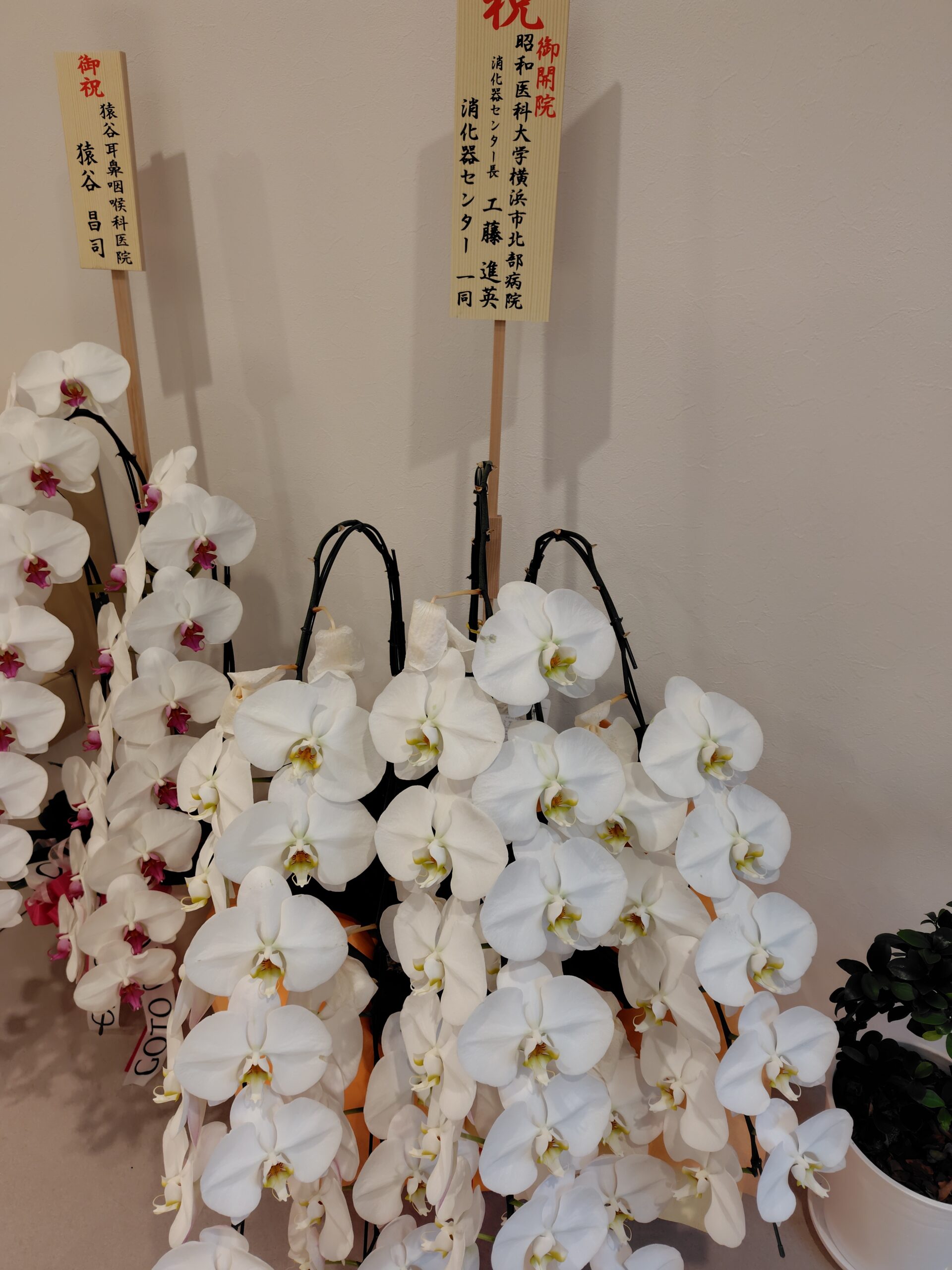 『昭和医科大学横浜市北部病院　消化器センター　工藤進英教授』よりお花をいただきました。
